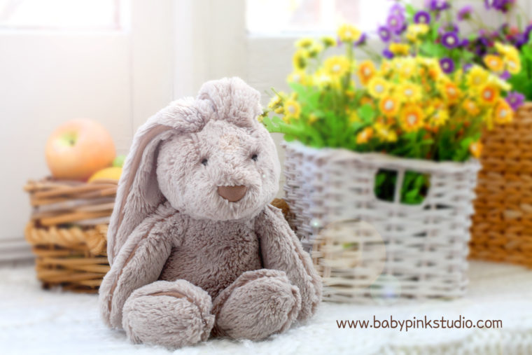 Mr.Bunny | Babypink photography in Toronto